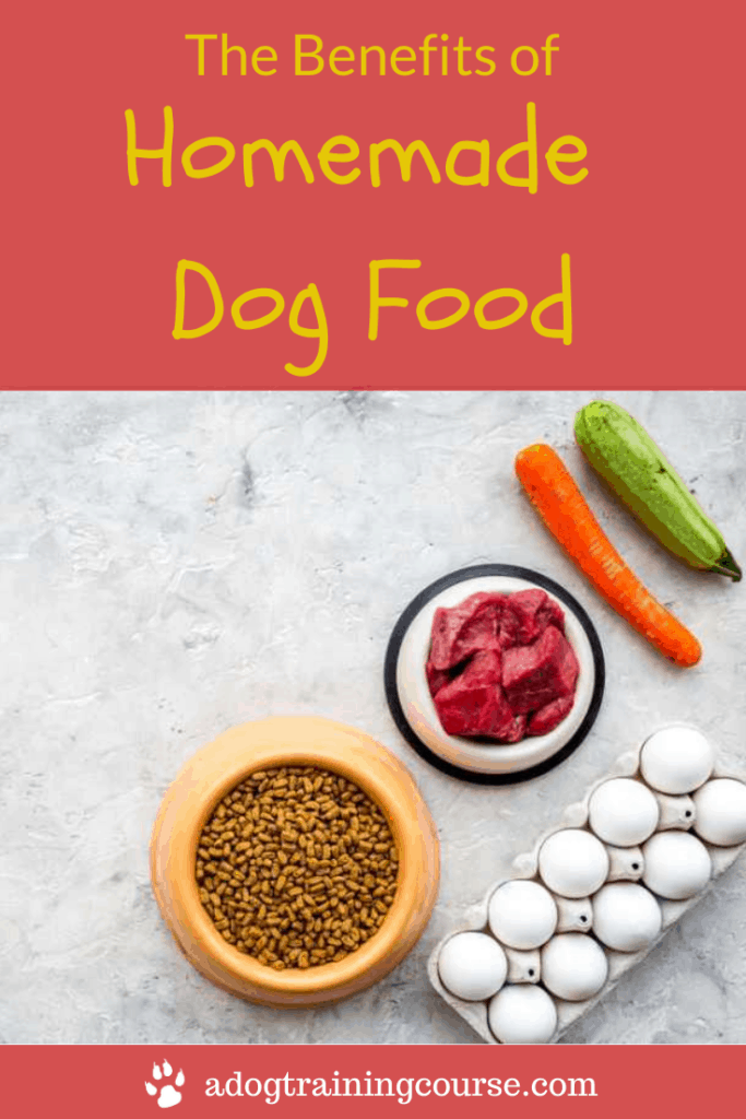 Benefits of Homemade Dog Food Include Knowing What's In It