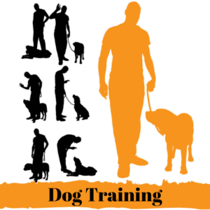 A Dog Training Course Logo