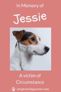 In Memory of Jessie