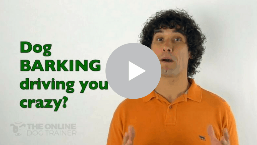 Watch this video to learn how to stop your dog barking.