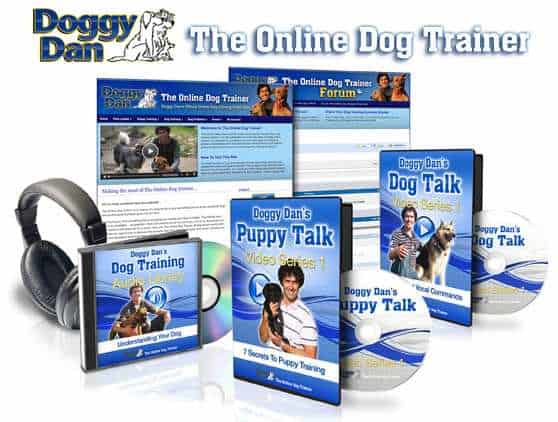 Why I Think the Doggy Dan Online Dog Trainer Videos Are So Effective!