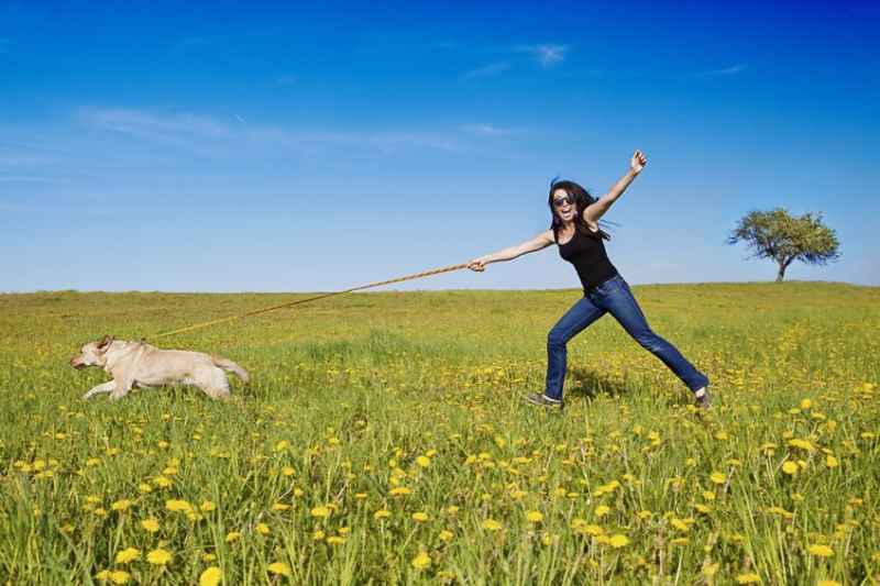 Walking a dog on a leash superman style