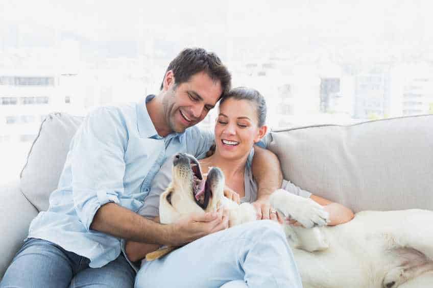 Image of a couple learning how to keep your dog off the furniture