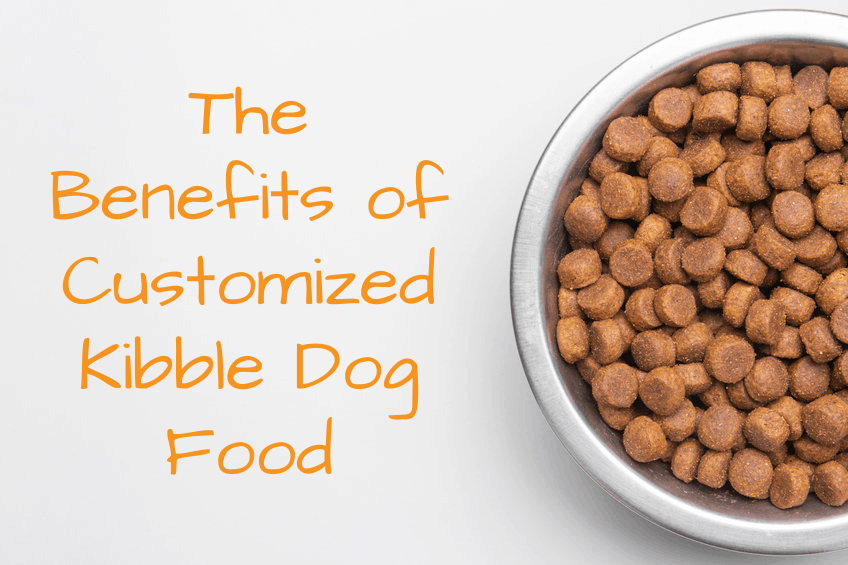 The Benefits of Customized Kibble Dog Food