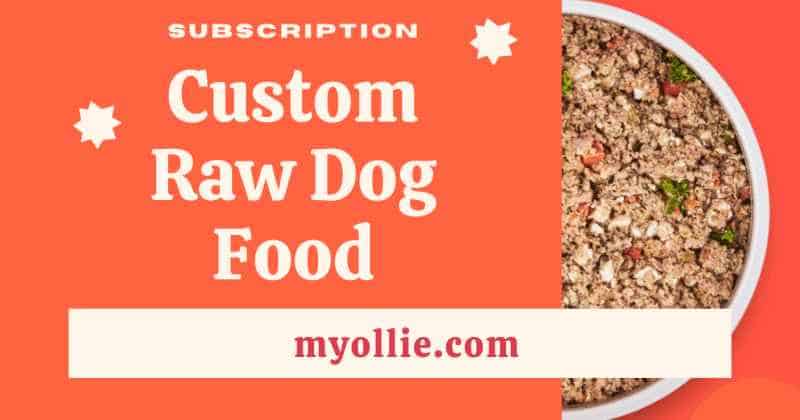 An image depicting custom raw dog food subscription from myollie.com