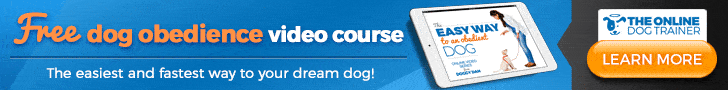 Free dog obedience video course by certified trainers.