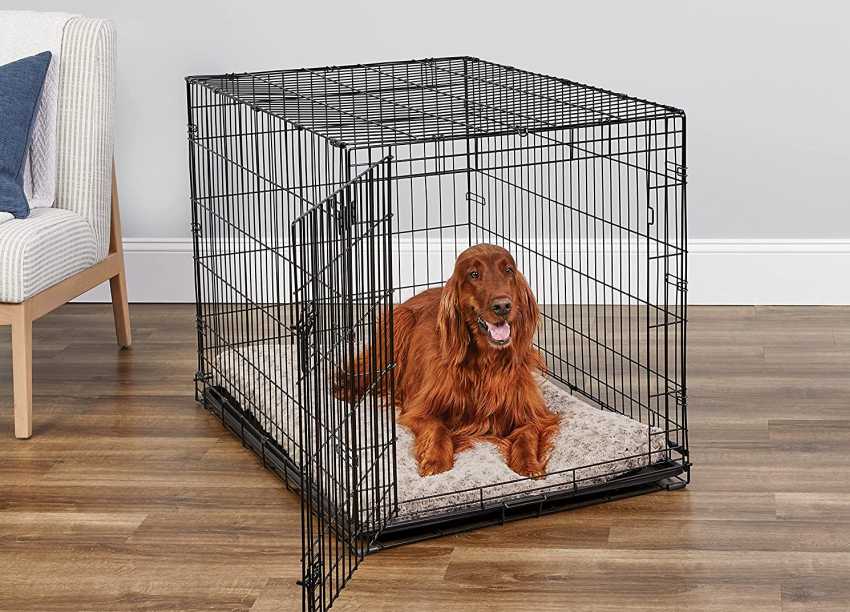 A popular and top-selling  Dog Crate