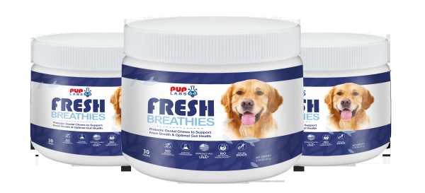 Fresh Breathies helps prevent and eradicate the problem of bad breath in dogs.