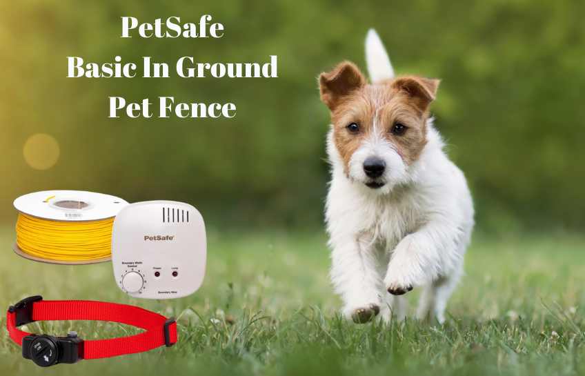 An image of the PetSafe In Ground Pet Fence parts