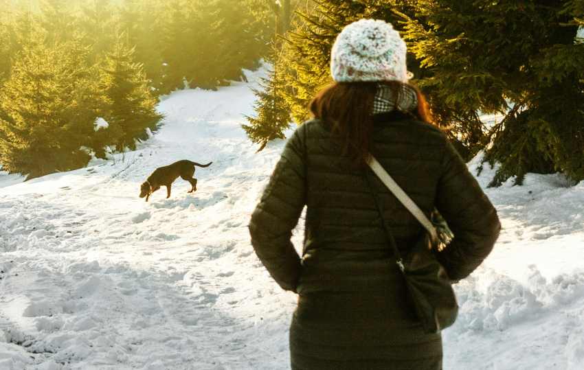 A woman walking her dog in a snow covered forest, where the importance of recall training is essential.