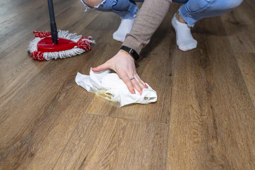 A woman cleaning up dog pee from a wooden floor.