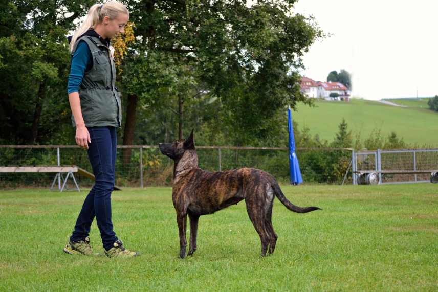 A female dog owner about to teach her dog how to spin.